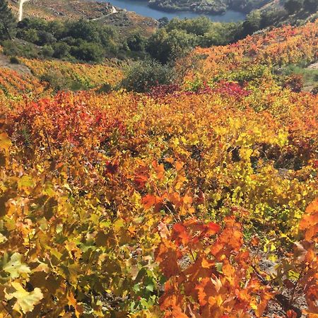 فندق O Fogar Do Monte Sober المظهر الخارجي الصورة
