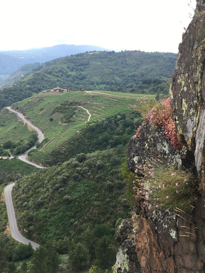 فندق O Fogar Do Monte Sober المظهر الخارجي الصورة